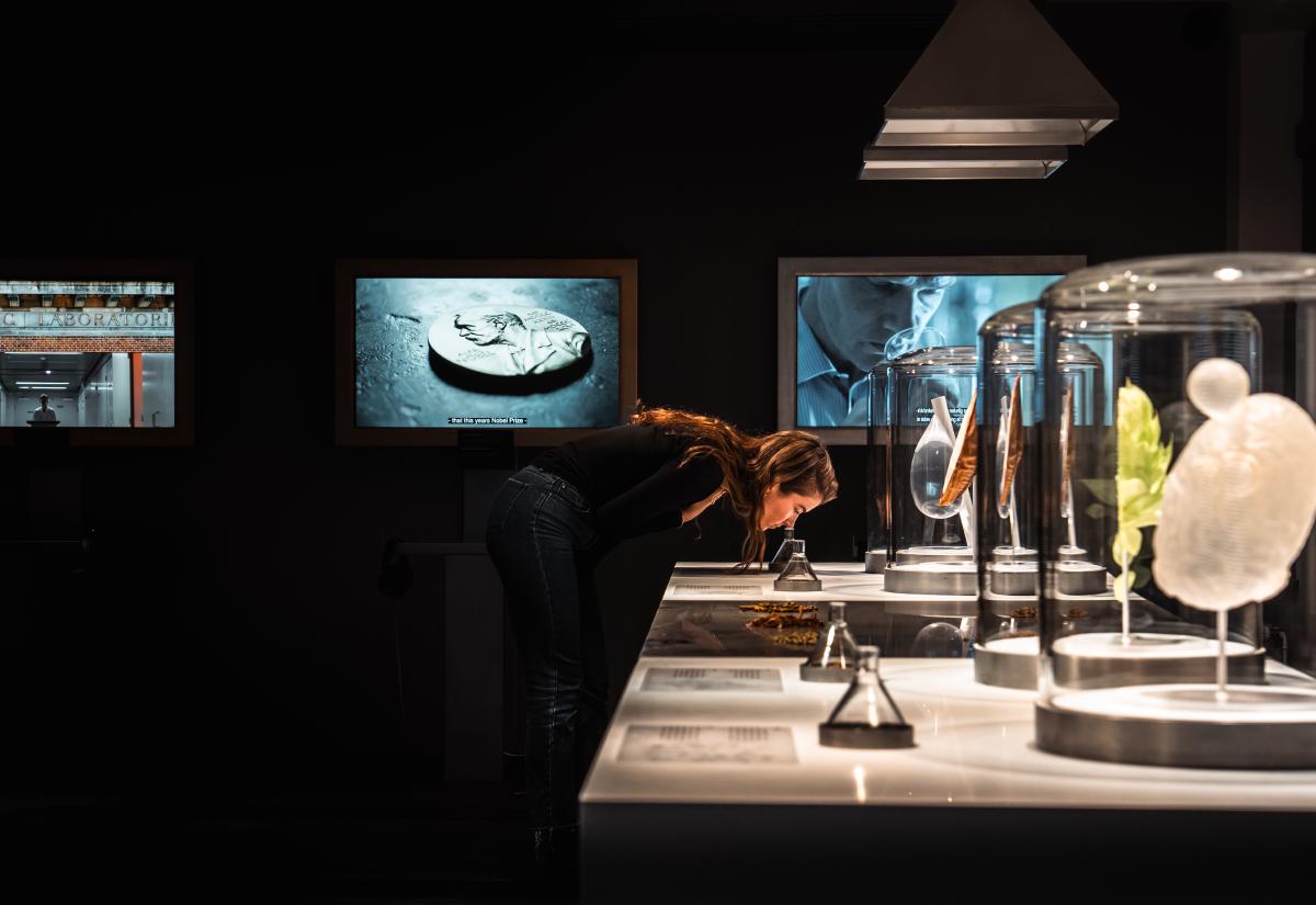 Interactieve museumopstelling