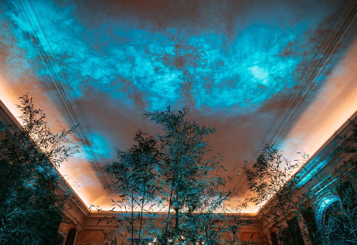 Artis projectie