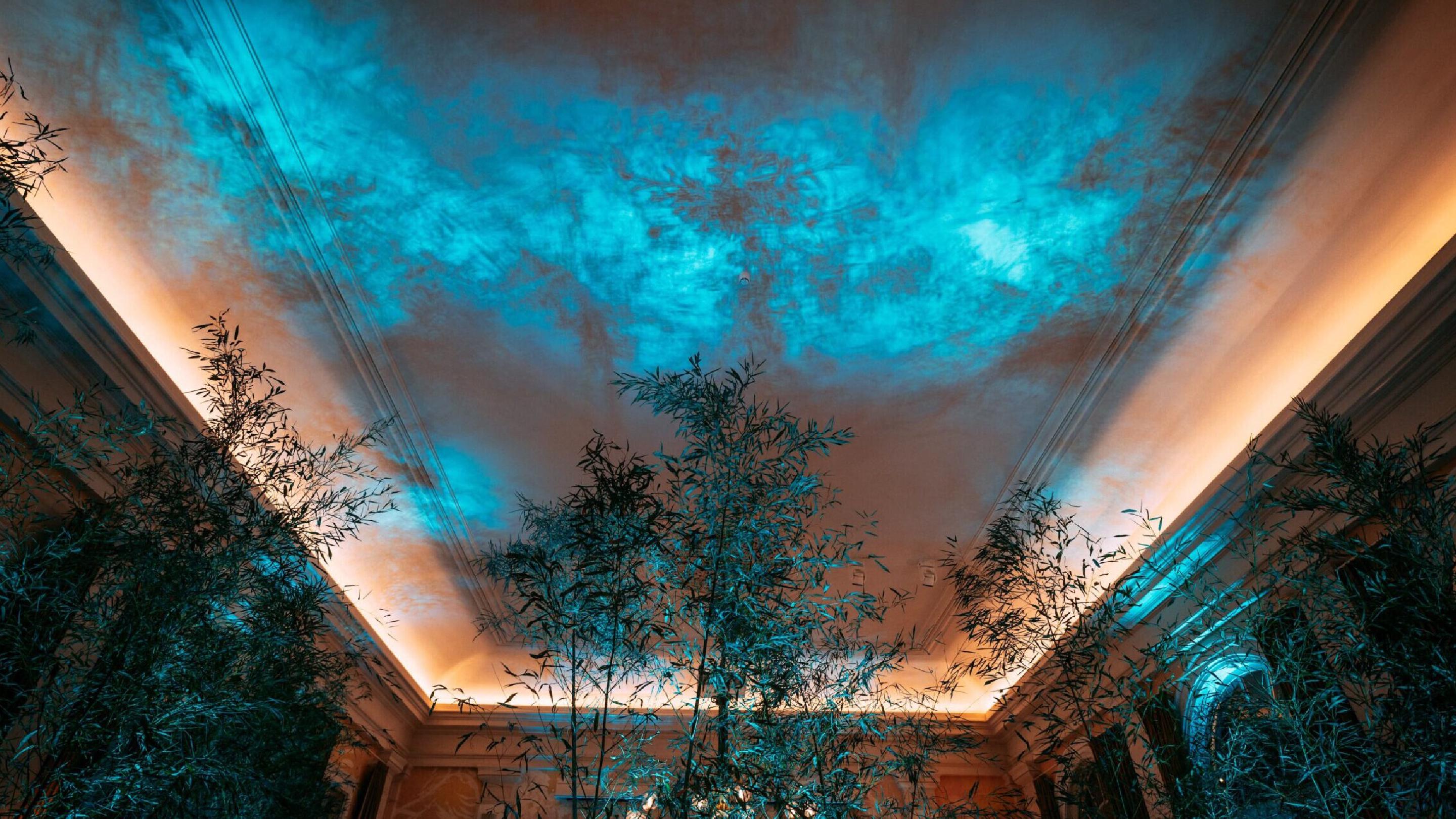 Immersieve audiovisuele installatie van Phanta Visual
