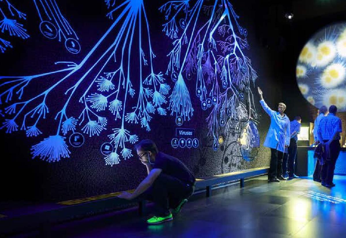 Micropia interactieve zaal