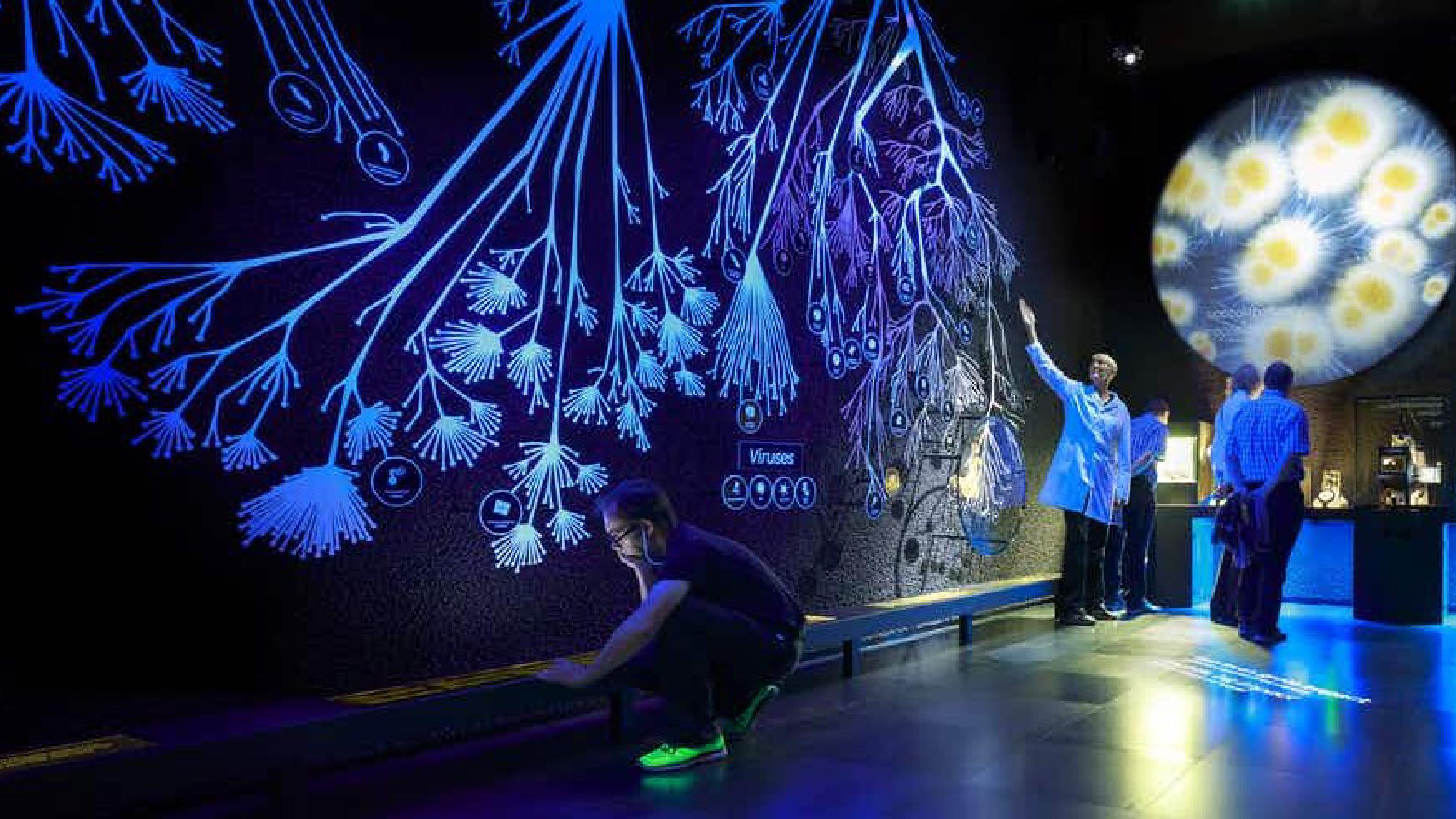 Micropia immersieve installatie